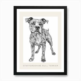 Staffordshire Bull Terrier Dog Line Sketch 3 Poster Art Print