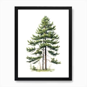 Pine Tree Drawing Art Print