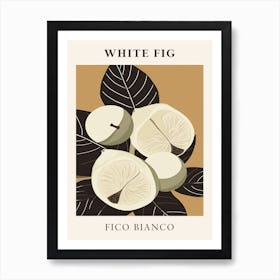 White Fig Art Print