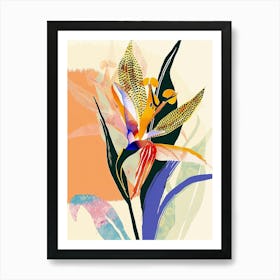 Colourful Flower Illustration Bird Of Paradise 2 Art Print