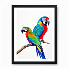 Macaw Watercolour Bird Art Print