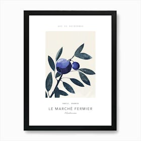 Blueberries Le Marche Fermier Poster 3 Art Print