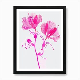 Hot Pink Peacock Flower 1 Art Print