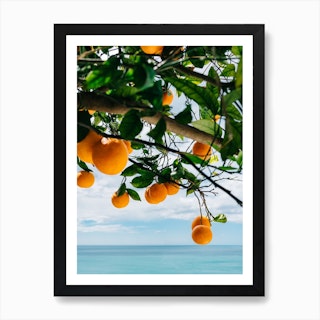Amalfi Coast Oranges IV Art Print