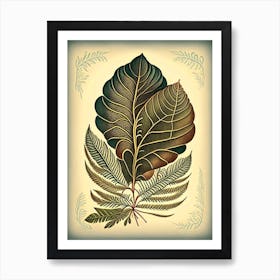 Tamarind Leaf Vintage Botanical 3 Art Print
