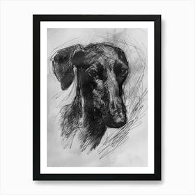 Sloughi Dog Charcoal Line Art Print