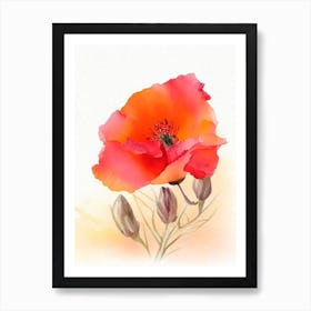 Desert Poppy Wildflower Watercolour 2 Art Print