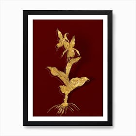 Vintage Lady's Slipper Orchid Botanical in Gold on Red n.0415 Art Print