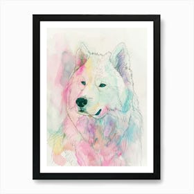 Samoyed Dog Pastel Line Watercolour Illustration  1 Art Print