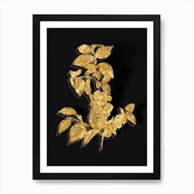Vintage Field Elm Botanical in Gold on Black n.0197 Art Print