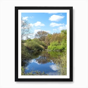 Reflection in a Pond Art Print