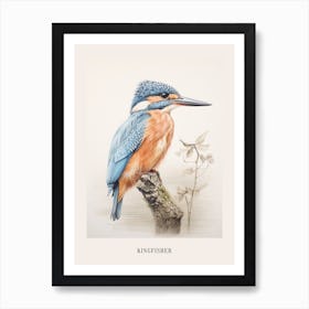 Vintage Bird Drawing Kingfisher 2 Poster Art Print