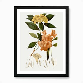 Rhododendron 8 Art Print