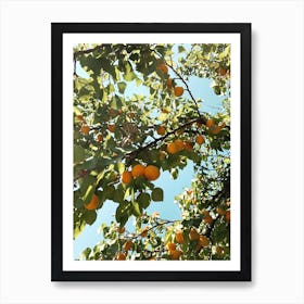 Peachy Art Print