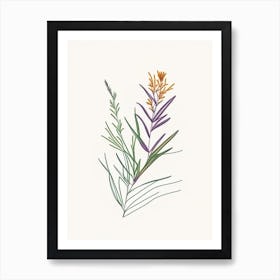 Tarragon Spices And Herbs Minimal Line Drawing Art Print