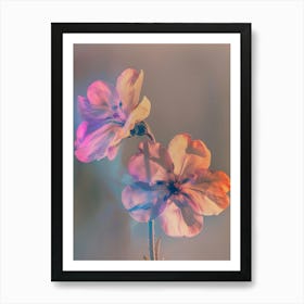 Iridescent Flower Phlox 2 Art Print