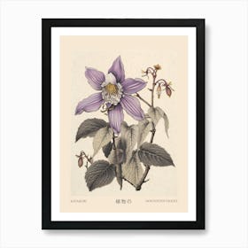 Katakuri Dogtooth Violet 2 Vintage Japanese Botanical Poster Art Print