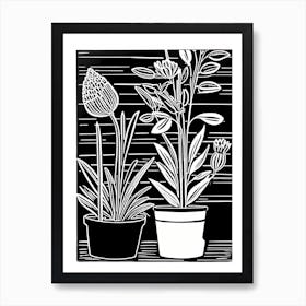 Lion cut inspired Black and white Garden plants & flowers art, Gardening art, 246 Art Print