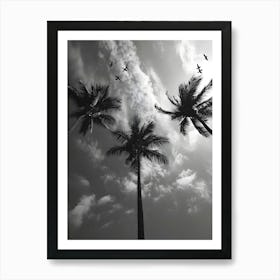 Silhouette Of Palm Trees Art Print