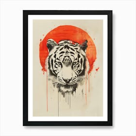 Tiger 71 Art Print