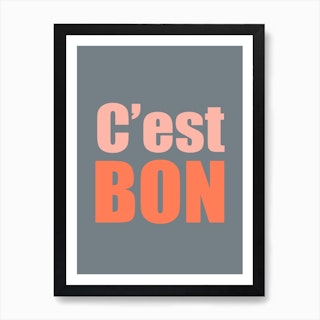 Cest Bon Grey And Pink Art Print