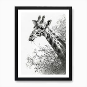 Giraffe Pencil Portrait 2 Art Print