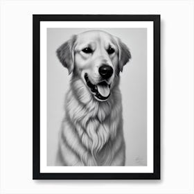 Golden Retriever 2 B&W Pencil Dog Art Print