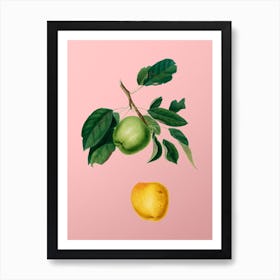 Vintage Apple Botanical on Soft Pink Art Print