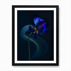 Blue Secret Art Print