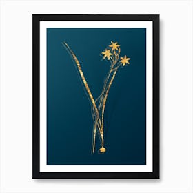 Vintage Ixia Longiflora Botanical in Gold on Teal Blue Art Print