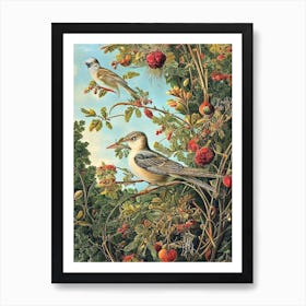 Mockingbird 2 Haeckel Style Vintage Illustration Bird Art Print