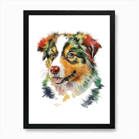 Australian Shepherd Dog Art Print