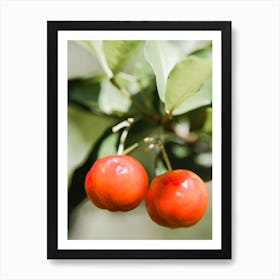 Two Little Fruits Art Print