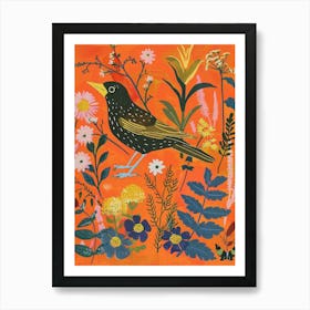 Spring Birds Cowbird 3 Art Print