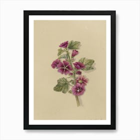 Hyacinths Art Print