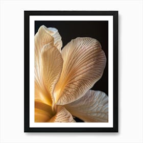 Orange Flower 5 Art Print