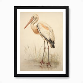 Vintage Bird Drawing Stork 3 Art Print