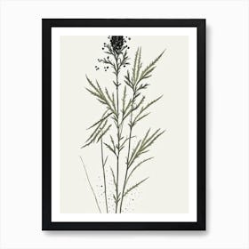 Black Cohosh Herb Minimalist Watercolour 1 Poster