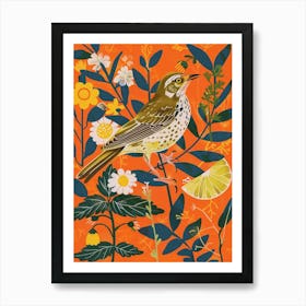 Spring Birds Mockingbird 2 Art Print