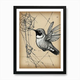 Hummingbird 4 Art Print