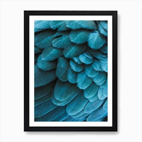 Blue Macaw Feathers Art Print