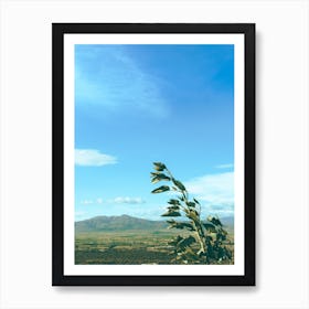 The Valley Art Print