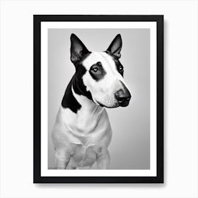 Bull Terrier B&W Pencil Dog Art Print