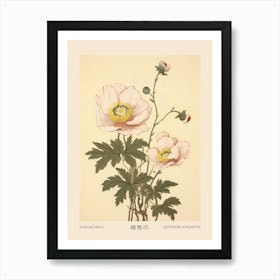 Hanaichige Japanese Anemone 3 Vintage Japanese Botanical Poster Art Print