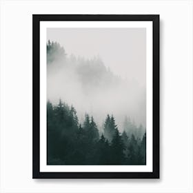 Foggy Forest Trees Art Print