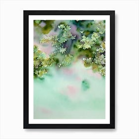 Acropora Formosa Iii Storybook Watercolour Art Print