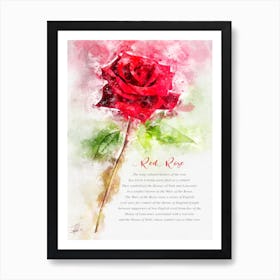 Red Rose Art Print