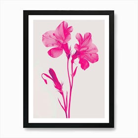 Hot Pink Lobelia 2 Art Print