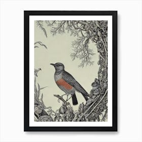 Cuckoo 2 Haeckel Style Vintage Illustration Bird Art Print