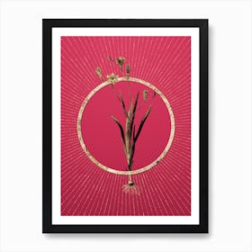 Gold Ixia Bulbifera Glitter Ring Botanical Art on Viva Magenta n.0290 Art Print
